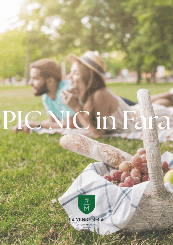 PIC NIC In Fara